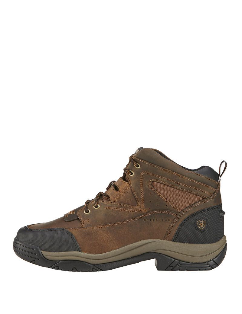 Ariat Terrain Wide Square Toe Steel Toe Work Boot Distressed Brown | QZDGXN-254