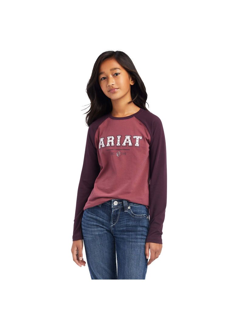 Ariat Varsity T-Shirt Mulberry/Nostalgia Rose | CURFXY-569