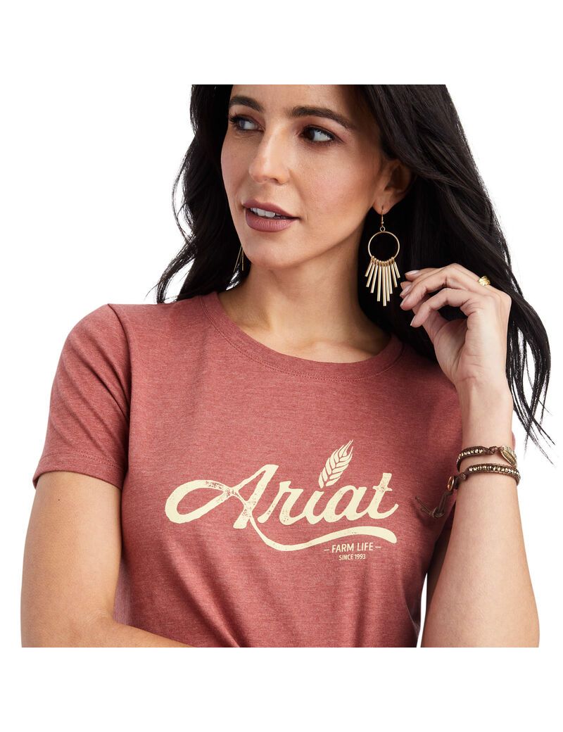 Ariat Wheat Script Tee Red Clay Heather | WSVEKX-509