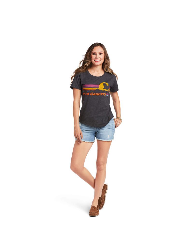 Ariat Wild Country T-Shirt Charcoal Heather | NPRCMI-183