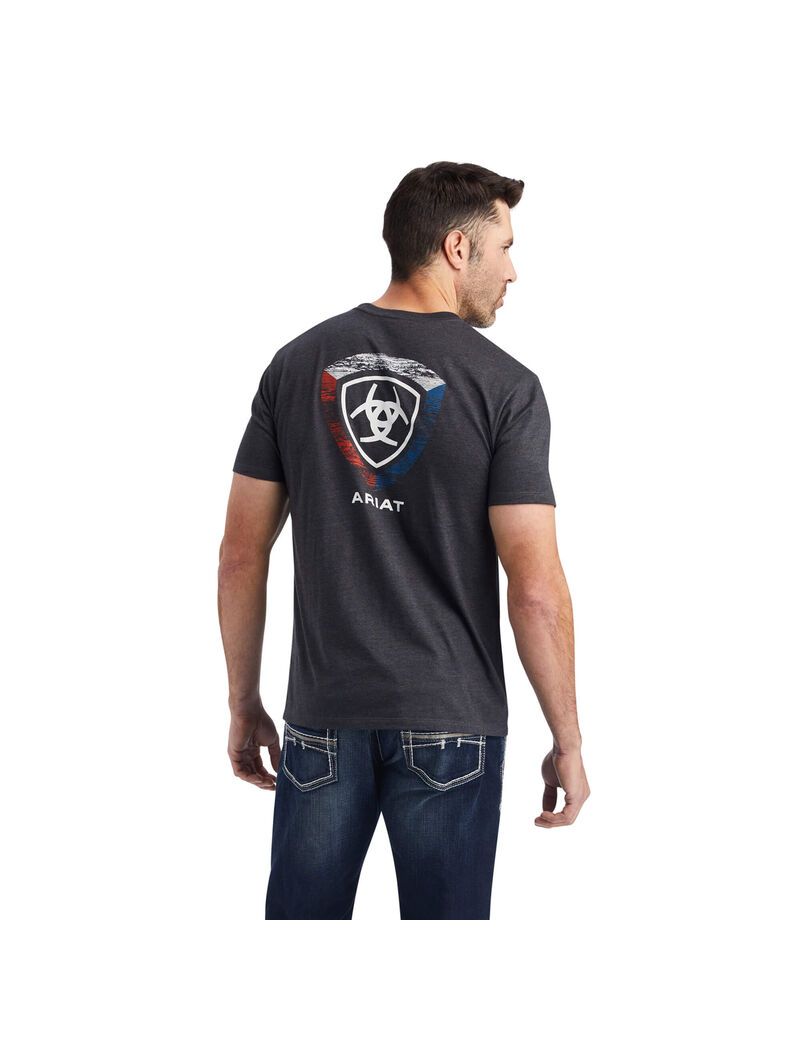 Ariat Woodgrain Shield T-Shirt Charcoal Heather | SZBCYJ-839