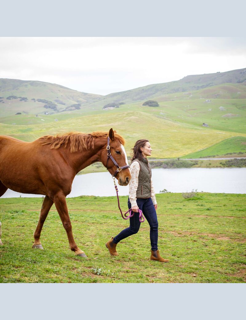 Ariat Woodside 2.0 Vest Earth | EKLOPN-498